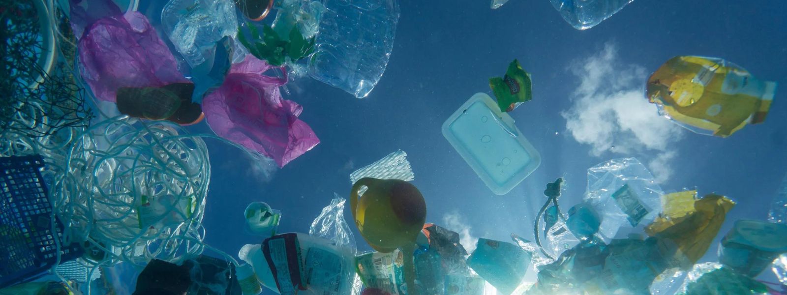New laws for plastic waste management